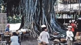 leluhur semua ini kyknya