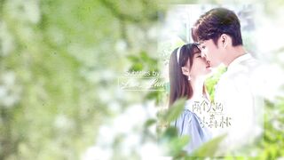 A Romance of the Little Forest   OST Full Song  C-Drama Love Song  Lyrics