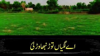 Viral video 147