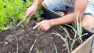 ГРАДСКО ЗЕМЕДЕЛИЕ 2