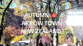 NEW ZEALAND,S BEAUTY