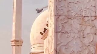 اية من آيات الله العظيم