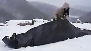 Joinfile233220709
