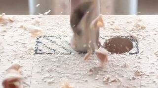 Smart Wood Tips to Reinforce Tenon and Mortise Joints