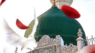Beautiful klam of Allah