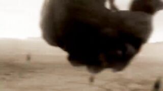 Superman vs Hulk fight.3