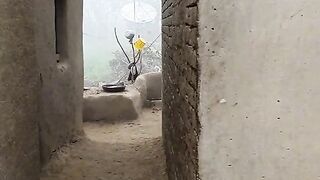 گاؤں کا سرد موسم