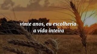 Motivaçaodiaria