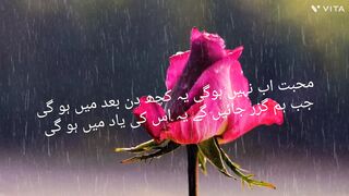 Rose bud for beautiful people
