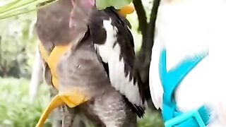 Cutest parrot