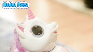 In remote- & app controlled Robot kids toys