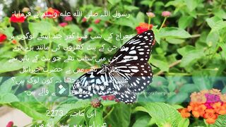 Hadees e nabvi