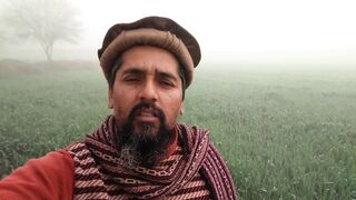 Three Tractors Carry Sugarcane Trolley From Field To Road || iftikhar sargana || iFi Vlogs