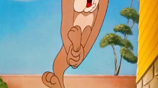 Tom jerry bell fight || funny