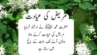 Marij ki aadat