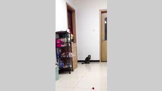 Animals Funny Tiktok Video