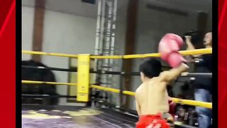 petinju kecil juga bisa koin