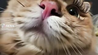 So cute 38