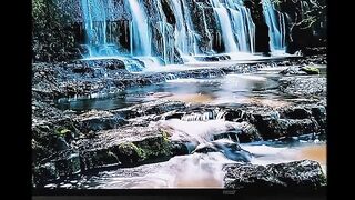 EXPLORE NEWZELAND BEAUTY OF NATURE