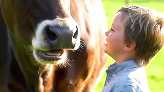 a poor boy with his cow