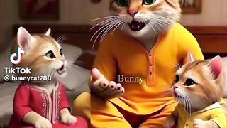 Fane video 6