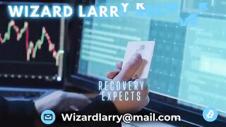 HIRE WIZARDLARRY RECOVERY CRYPTOCURRENCYBITCOIN SCAM RECOVERY 3