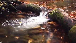 The water 2