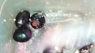 Anggur hitam ini enak di bikin rujak