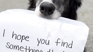Massimo on X- Something to make you smile today [ kellybove] https----RB0ZgbSaU9 -