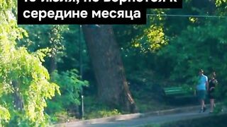 ПОЙНТ МОЛДОВА 162