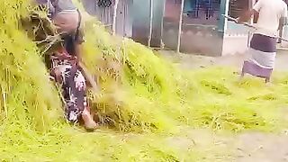 april video