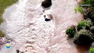 Texas Animal Rescue Efforts Amidst Deadly Floods