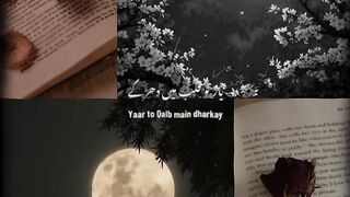 O sahib o sahib