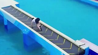 Peserta ninja warrior paling kocak