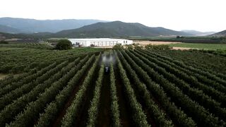 Europe's Rising Illegal Pesticide Crisis as Farmers Seek Cheaper Alternatives