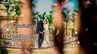 Tere zindagani hoo bhool kahani hoo
