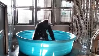 DALLAS ZOO