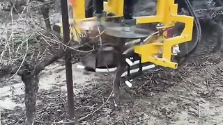 СЕЛСКО СТОПАНСТВО 3