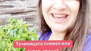 ТУЧЕНИЦАТА - ПЛЕВЕЛ ИЛИ ХРАНА