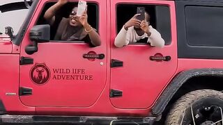 Aventure animalière .mp4