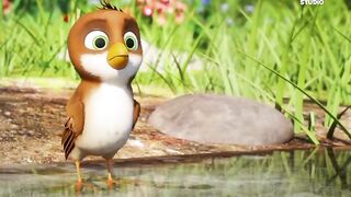 Little birds adventure