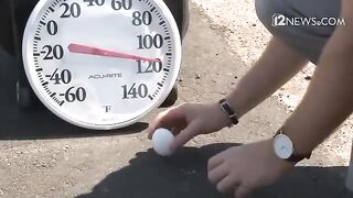 Phoenix heat wave Can an egg actually cook on asphalt in 118 degrees