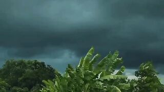 nature naturephotography lovemusic broken love raindrops lovestatus instagood instalike instadaily naturelove naturegram natur
