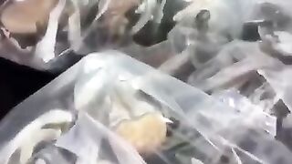Buy Marijuana in Dubai telegram greenplug420
