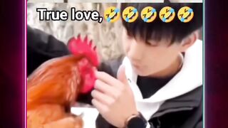 True Love 7