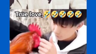 definisi true love - Adobet88