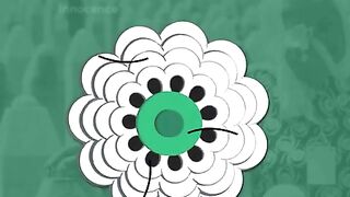 The Meaning Behind White Flower Pins at Bosniak Muslim Funerals