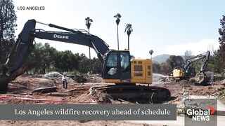 LA Wildfires: Surprising Recovery Progress Six Months Later