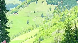 If there is a Switzerland in the fairy tale world, it is the perfect projection of the real world.