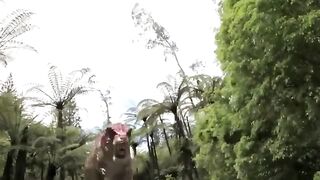 Notarbosaurus